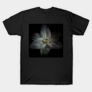 Backyard Flowers 28 Color Version T-Shirt